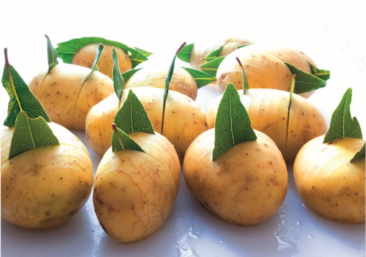 Pom’lorette pommes de terre laurier Pom'lorette pommes de terre laurier