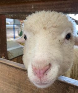 277596656_540251074393791_2021332761433062281_n 277596656_540251074393791_2021332761433062281_n