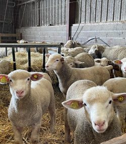 277938748_721471829266471_2221278317569455804_n 277938748_721471829266471_2221278317569455804_n