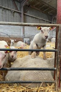 278007171_1000658370864960_587540215867128842_n 278007171_1000658370864960_587540215867128842_n