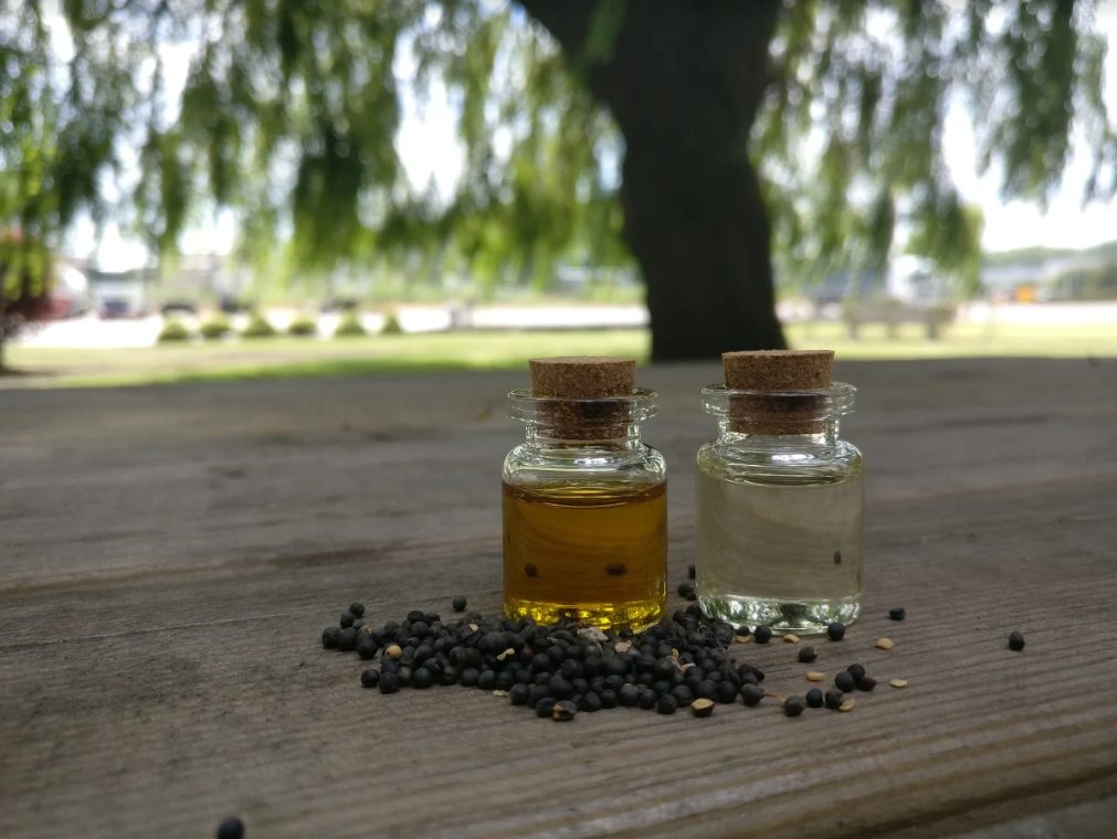 Huile de Colza Daudruy