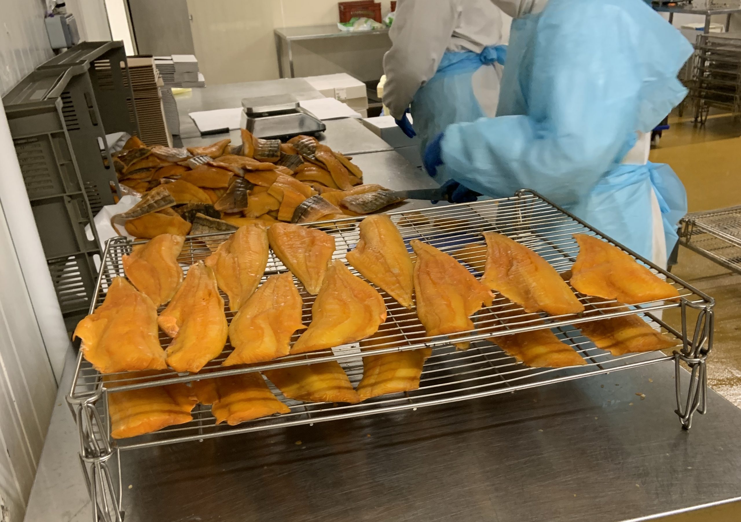 Avec Bourgain Fils, la pêche est toujours bonne !