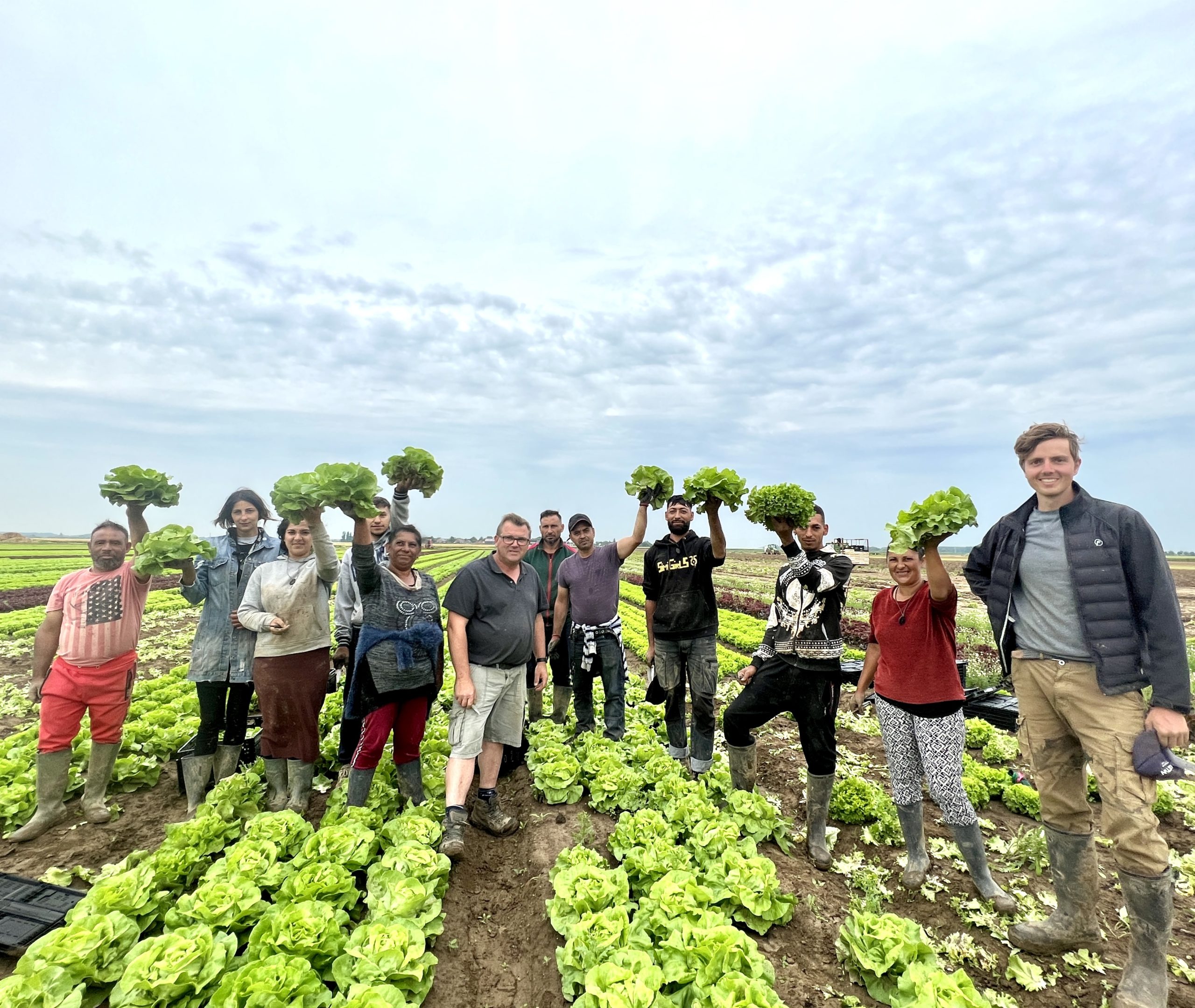 Dhelin-Mastain, des maraîchers sachant planter