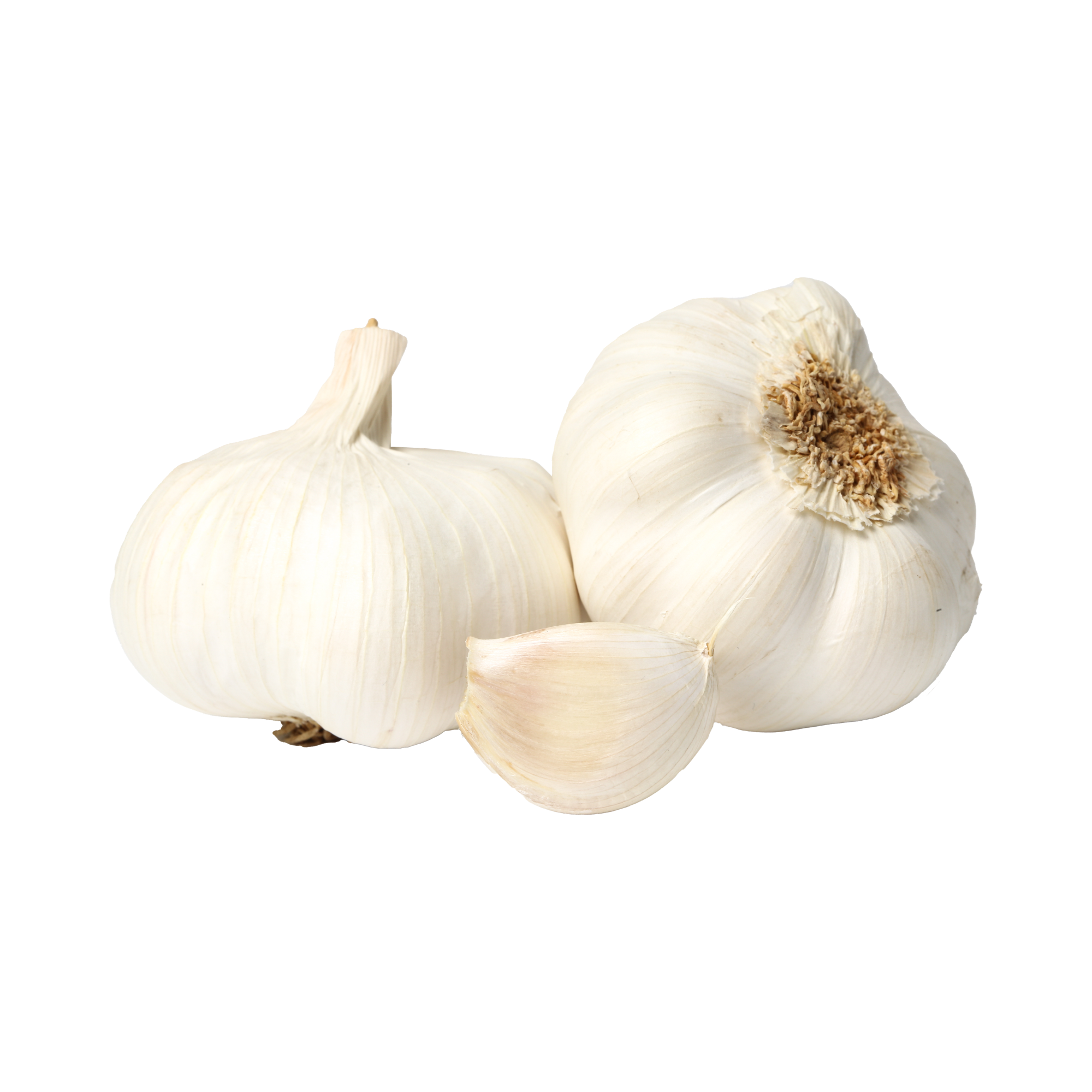 Ail frais 3 têtes