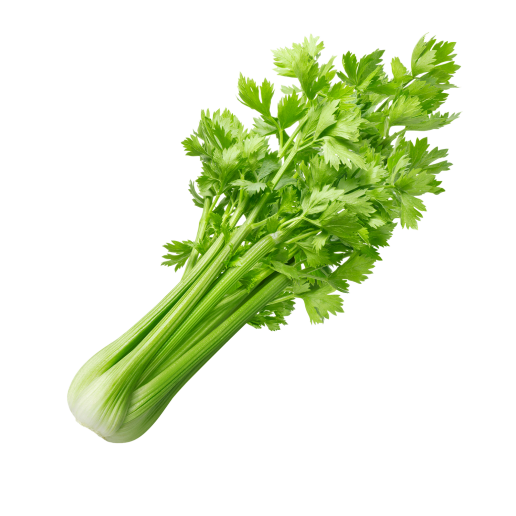 Céleri branche