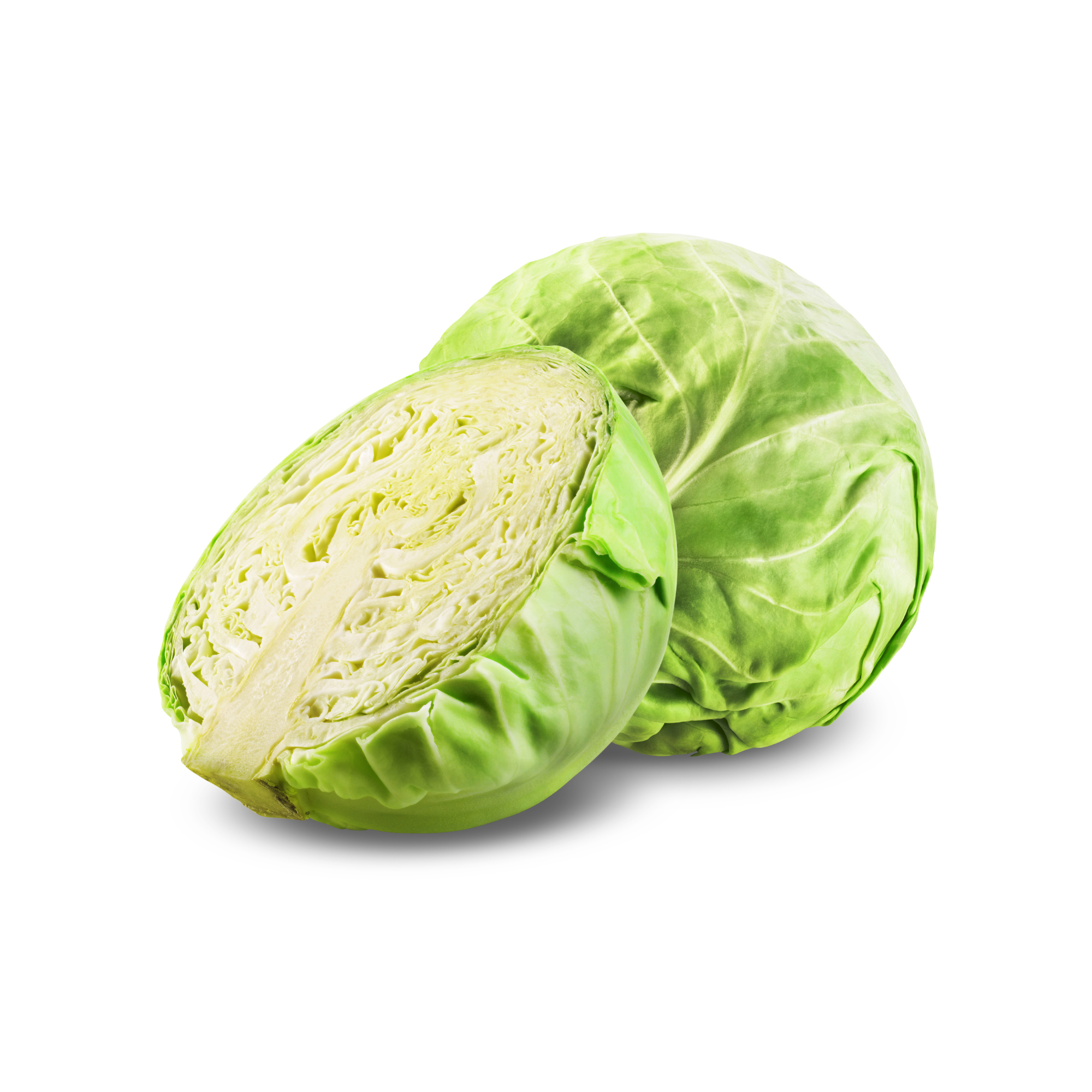 Chou blanc cocheteux