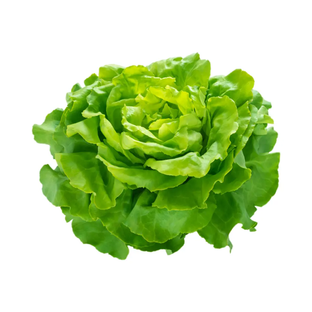 Salade